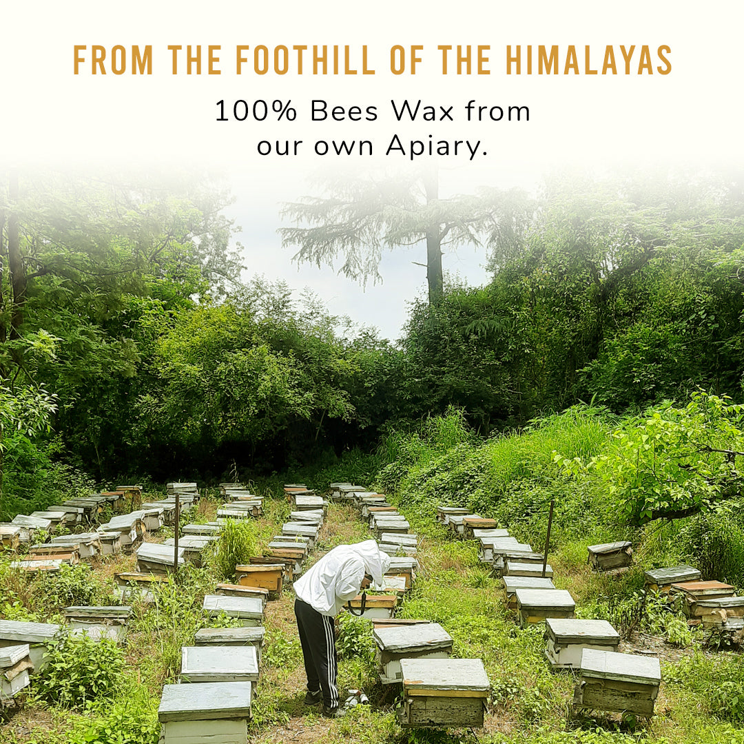 Bienenwachs-Kerzenset aus Bergerde und Himalaya-Nektar